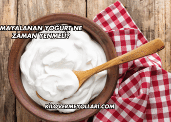 Mayalanan Yoğurt Ne Zaman Yenmeli