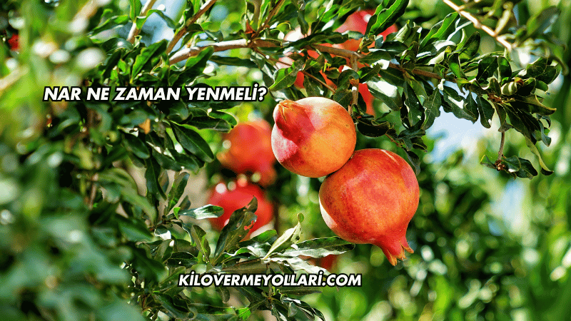 Nar Ne Zaman Yenmeli?