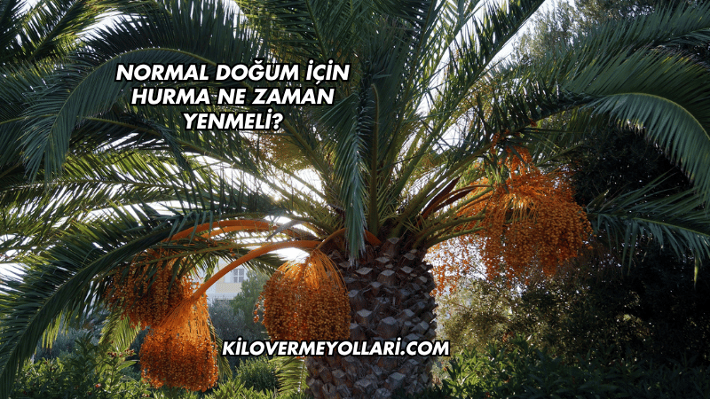 Normal Doğum İçin Hurma Ne Zaman Yenmeli?