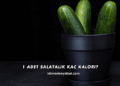 1 Adet Salatalık Kaç Kalori?