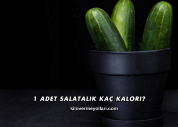 1 Adet Salatalık Kaç Kalori?