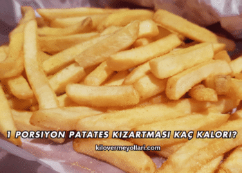 1 Porsiyon Patates Kızartması Kaç Kalori?