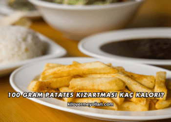 100 Gram Patates Kızartması Kaç Kalori?