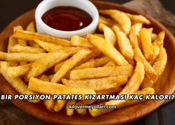 Bir Porsiyon Patates Kızartması Kaç Kalori?