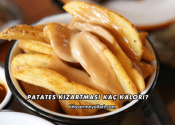 Patates Kızartması Kaç Kalori?