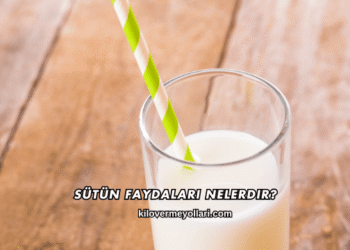 Sütün Faydaları Nelerdir