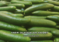 Yarım Salatalık Kaç Kalori?